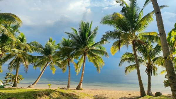 Discovering the Best Kept Secrets of Edinburgh: Your Complete Guide to Authentic Scottish Music Venues