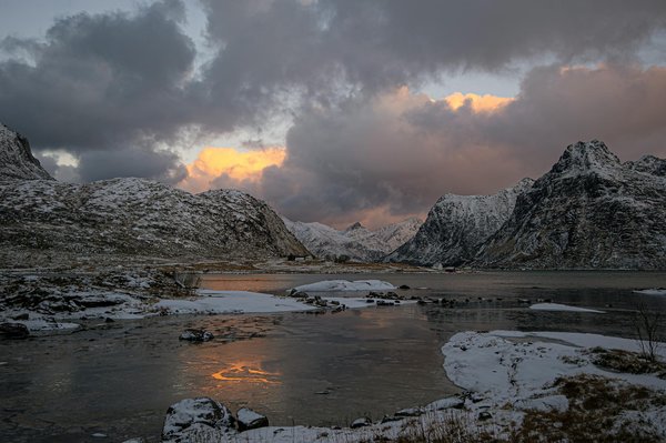 Discover Epic Birdwatching Adventures: Premier UK Cruises Along the Scenic River Severn